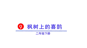 部编本二年级语文下册《枫树上的喜鹊》课件.pptx