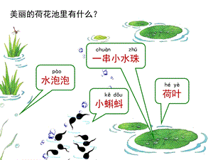 部编版一年级语文上册《青蛙写诗》课件.pptx