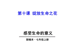 部编人教版七年级上册第十课感受生命的意义课件.ppt