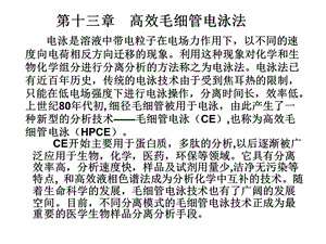 高效毛细管电泳法课件.ppt