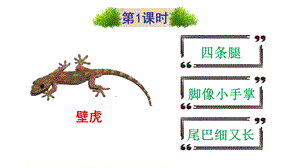 部编版一年级语文下册21小壁虎借尾巴(课件).ppt