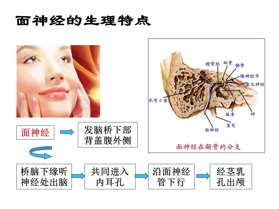 面神经炎中医治疗常用课件.ppt_第3页