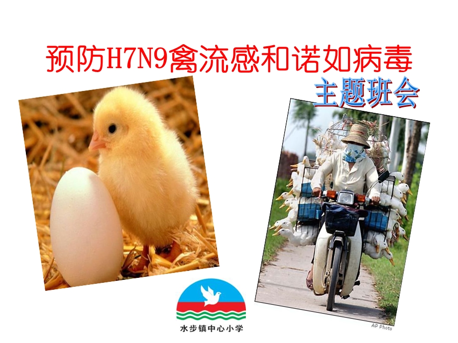 预防h7n9禽流感和诺如病毒主题班会课件.ppt_第1页