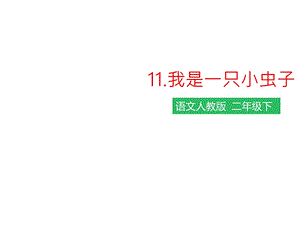 部编版语文二年级下册课件：第十一课我是一只小虫子(课件).pptx