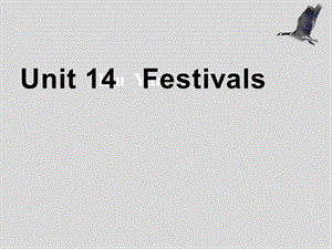 高一英语Festivals课件.ppt