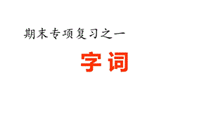 部编版五年级语文上册期末复习——字词专项课件.pptx