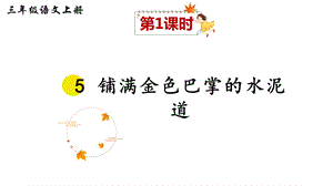 部编版三年级语文上册5铺满金色巴掌的水泥道课件.ppt