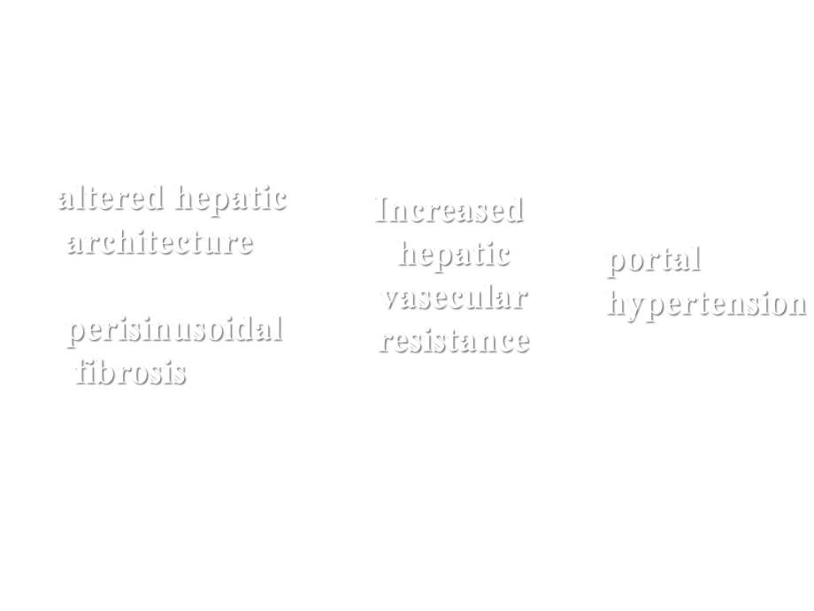 门静脉高压症治疗英文课件.ppt_第3页