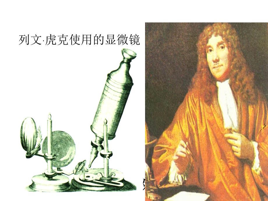 初中生物细菌PPT课件.ppt_第3页