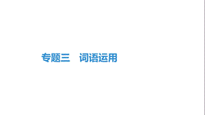 部编版八年级上册语文期末复习专题三词语运用课件.pptx