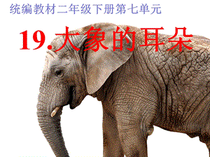 部编版语文二年级下册19大象的耳朵课件.ppt