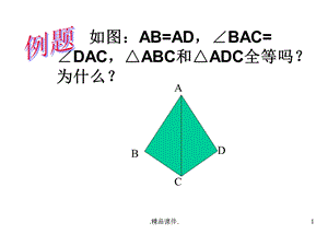 边角边定理练习题全版课件.ppt