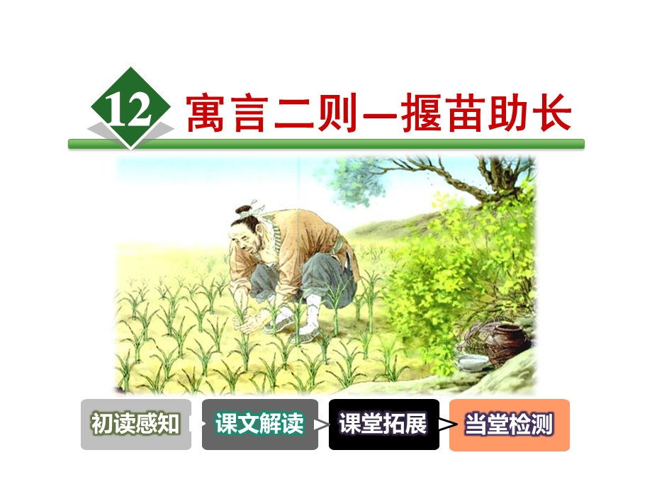 部编版语文二年级下册：12寓言二则—揠苗助长(公开课一等奖课件).pptx_第2页