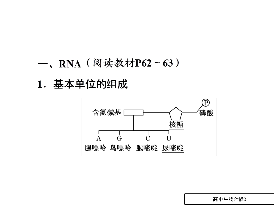 高一生物人教版必修二课件：第4章 第1节 基因指导蛋白质的合成.ppt_第3页