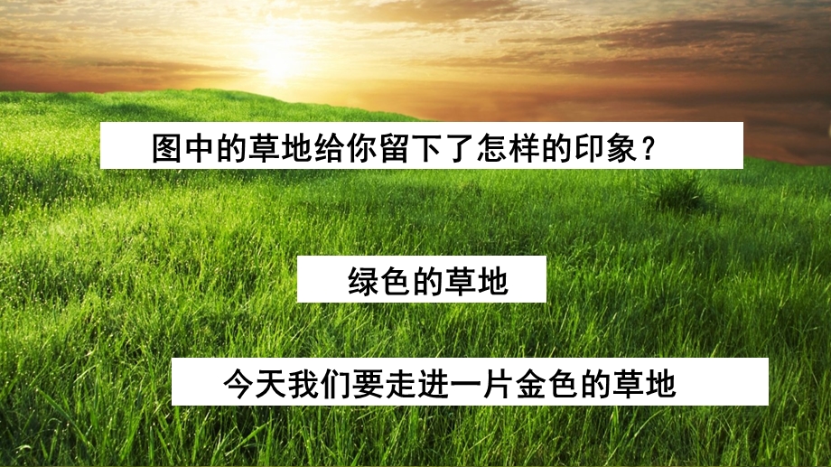 部编版三年级语文上册16金色的草地课件公开课.pptx_第2页