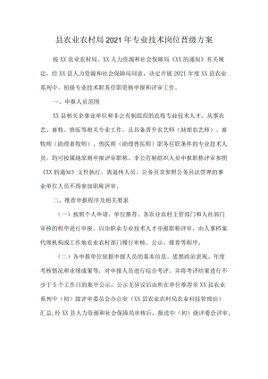 县农业农村局专业技术岗位晋级方案.docx