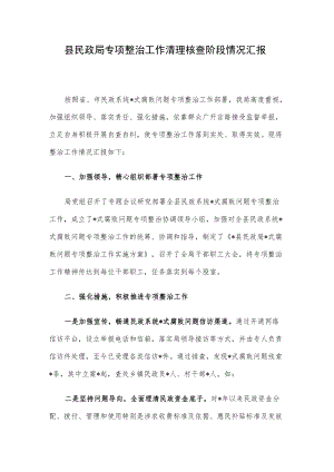 县民政局专项整治工作清理核查阶段情况汇报.docx