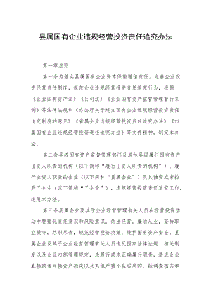 县属国有企业违规经营投资责任追究办法.docx