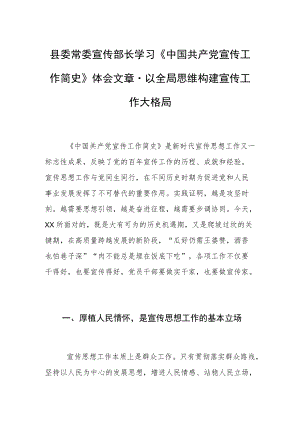 县委常委宣传部长学习《中国共产党宣传工作简史》体会文章－以全局思维构建宣传工作大格局.docx