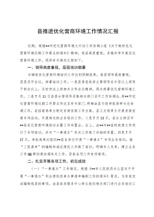 县推进优化营商环境工作情况汇报.docx