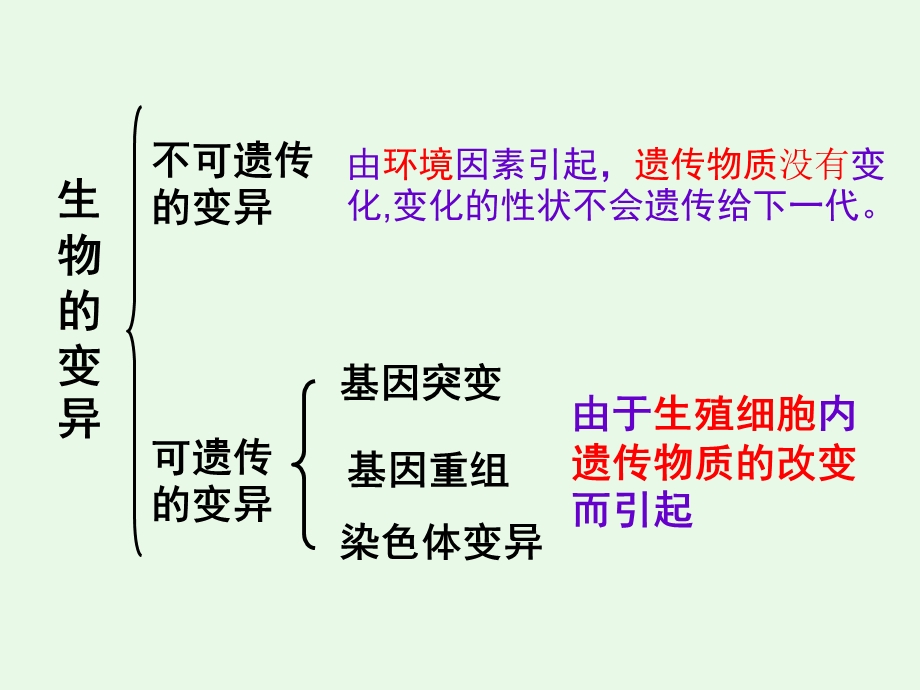 基因突变和基因重组汉水丑生ppt课件.ppt_第2页