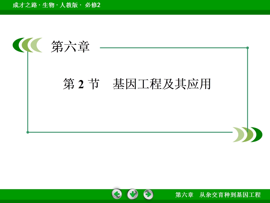 基因工程及其应用ppt课件.pptx_第2页