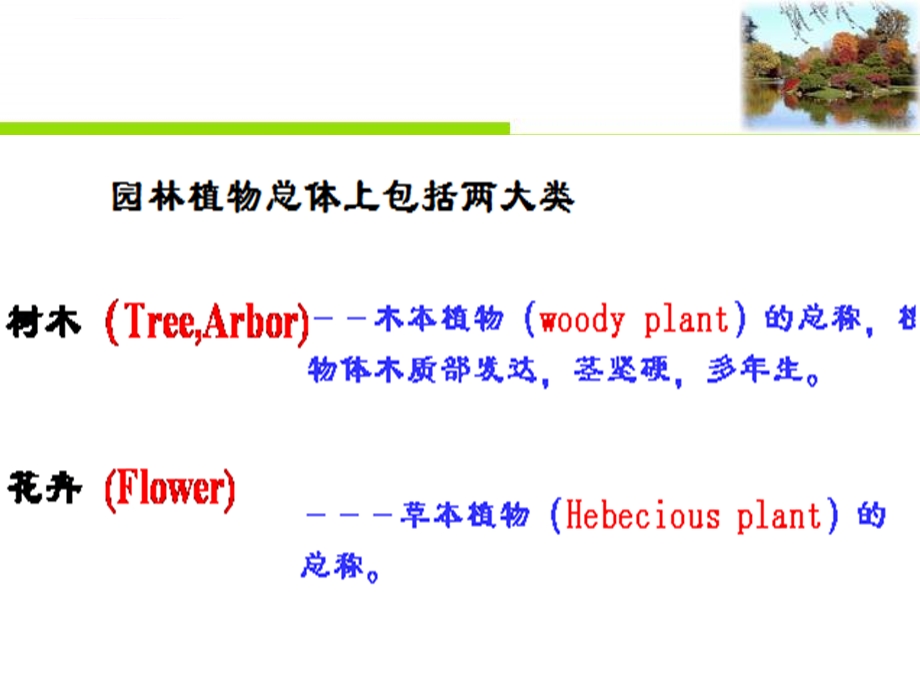 园林植物造景的基本形式ppt课件.ppt_第2页