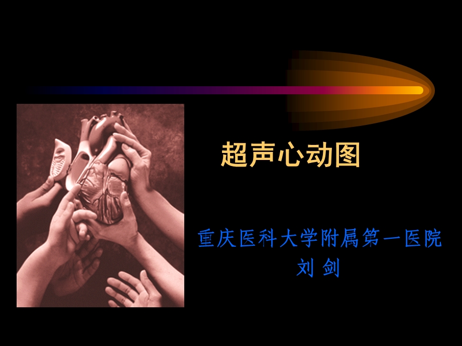 基础 超声心动图入门ppt课件.ppt_第1页