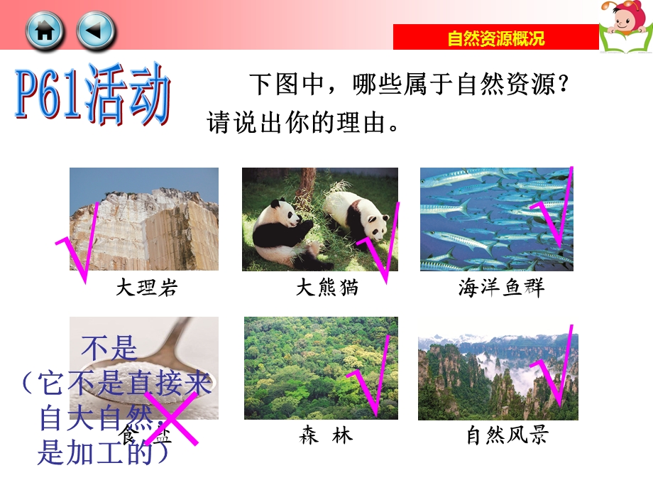 地理 自然资源概况ppt课件.ppt_第2页