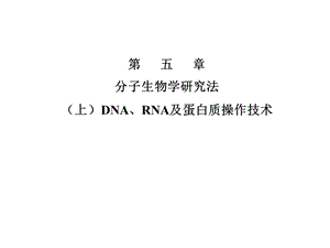 北大分子生物学ppt课件 朱玉贤.ppt