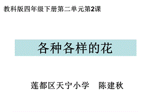 四下二2各种各样的花陈建秋ppt课件.ppt