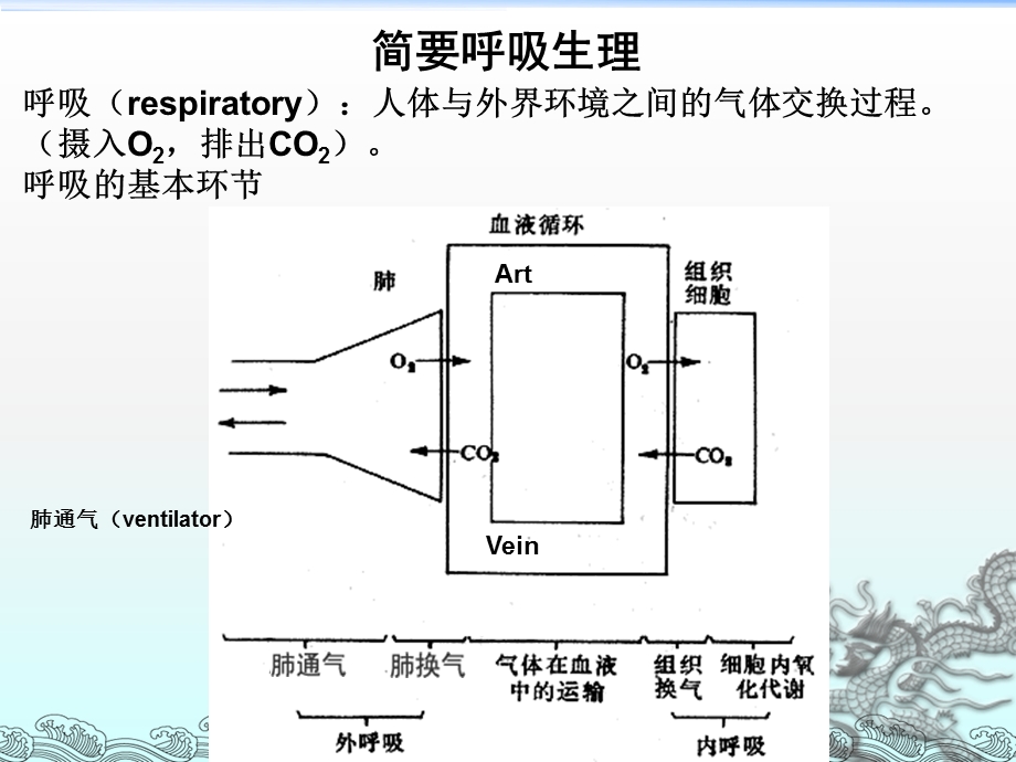 呼吸机培训ppt课件.ppt_第3页