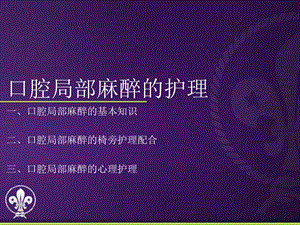 口腔局部麻醉的护理ppt课件.ppt