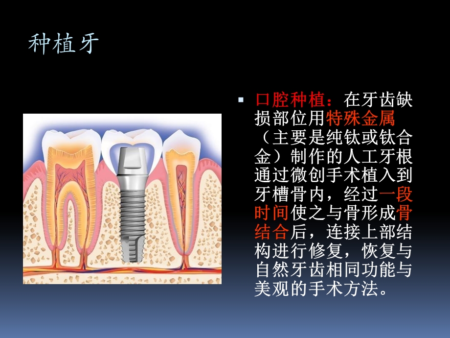 口腔专业知识培训ppt课件.pptx_第2页