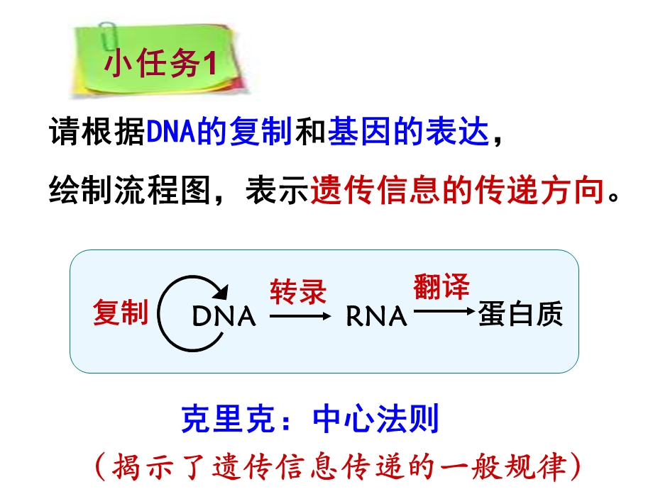 基因对性状的控制 (获奖ppt课件).ppt_第2页