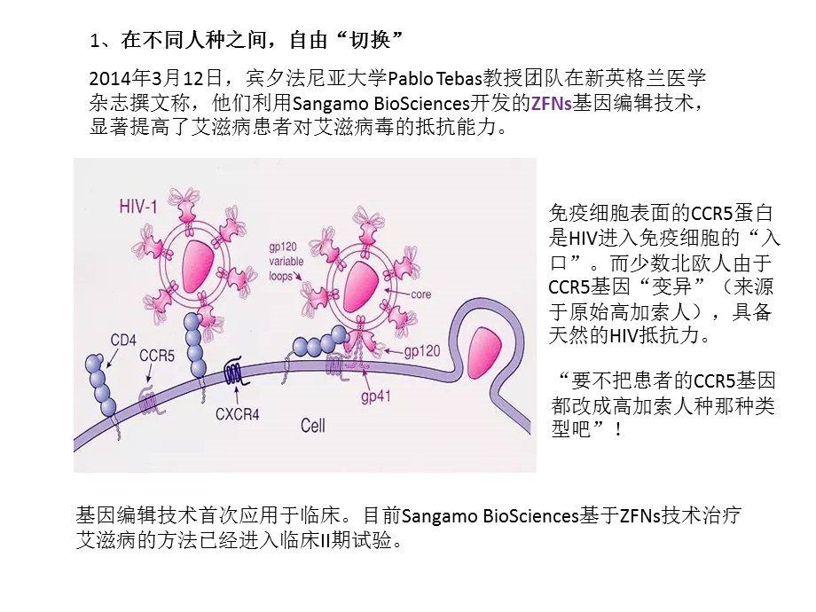 基因编辑技术ppt课件.pptx_第3页