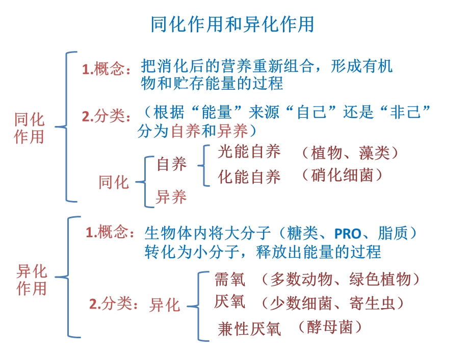 同化作用和异化作用ppt课件.ppt_第1页