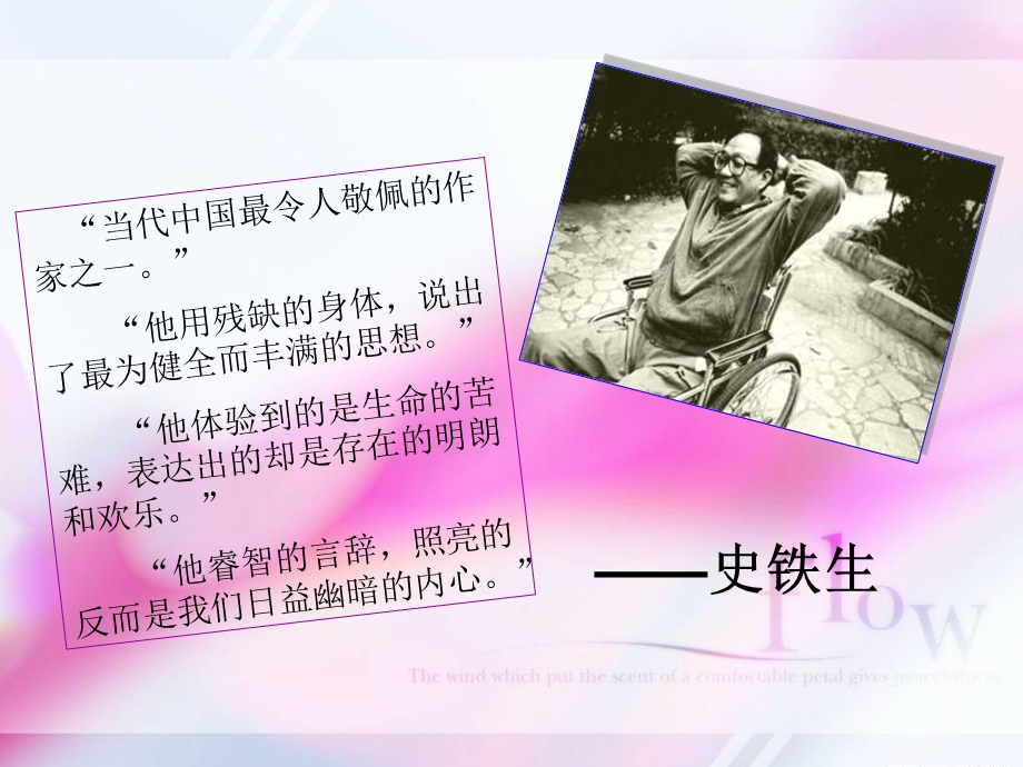 合欢树优秀 ppt课件.ppt_第2页