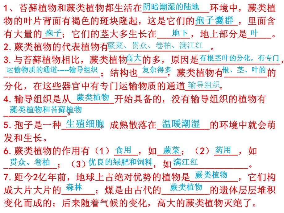 鲁科版生物六年级下学期期末复习知识点梳理课件(28张).pptx_第3页