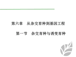 基因突变基因重组染色体变异ppt课件.ppt