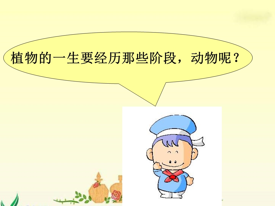 四年级科学下册 养小鸡1ppt课件.ppt_第2页