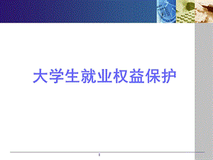 大学生就业权益维护(就业指导)ppt课件.ppt