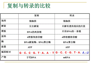 基因指导蛋白质的合成有动画ppt课件.pptx