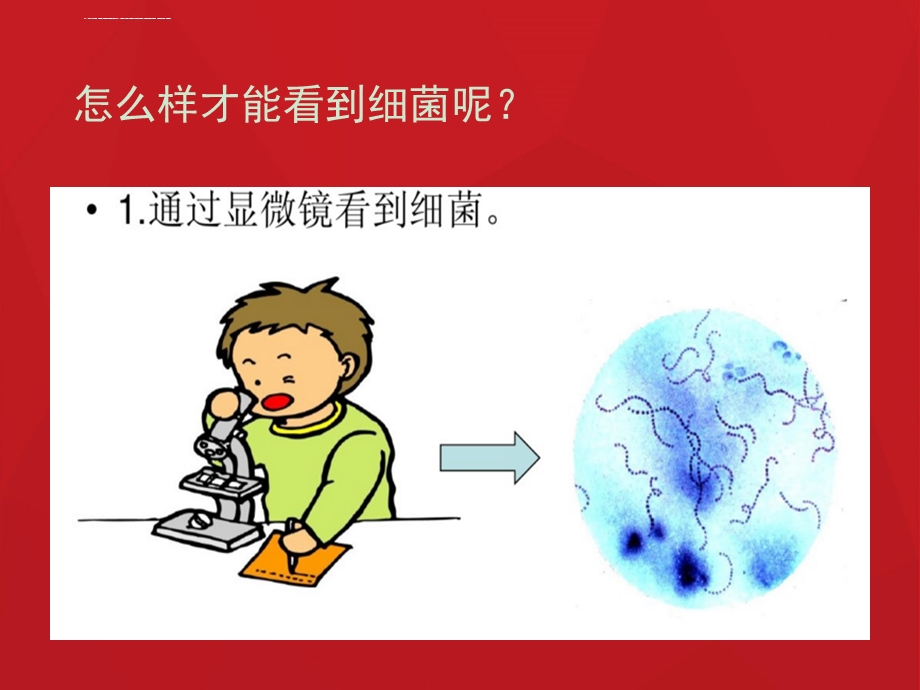 大班 可怕的细菌ppt课件.ppt_第3页