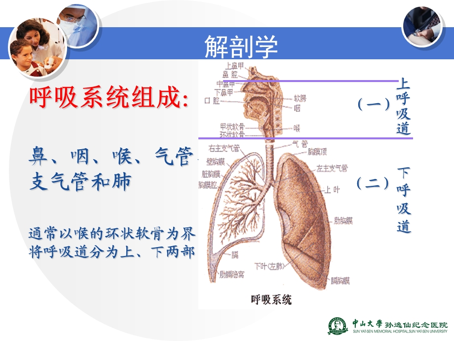 呼吸系统疾病的药物治疗ppt课件.ppt_第3页