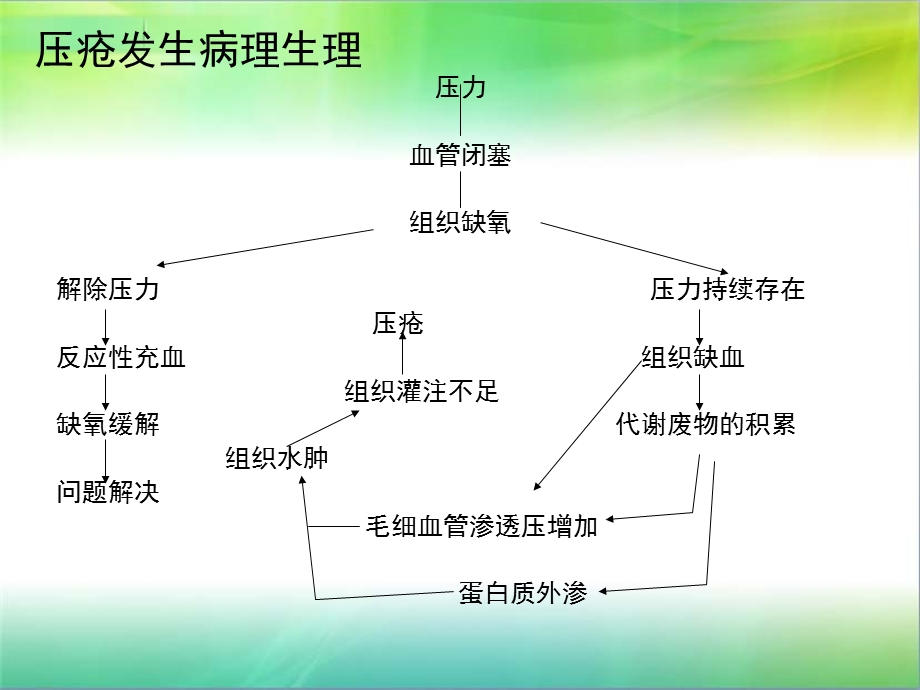 压疮的培训ppt课件.ppt_第3页