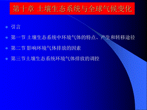 土壤生态学ppt课件 第十章 土壤生态系统与全球气候变化.ppt