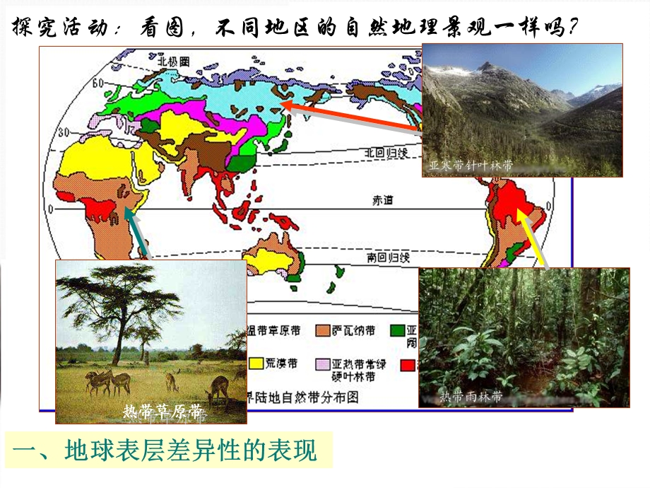 地理：5.2《自然地理环境的差异性》PPT课件.ppt_第2页