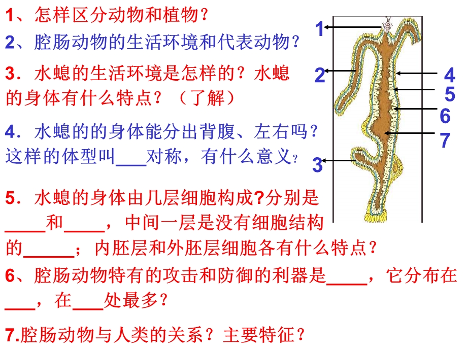 鲁科版生物八年级中考复习：第七单元第一章动物的主要类群复习课件.pptx_第2页