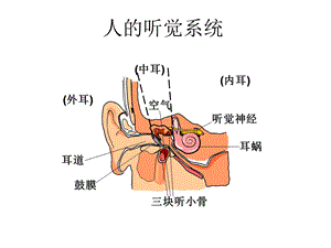 噪声的危害及防护措施培训PPT课件.ppt